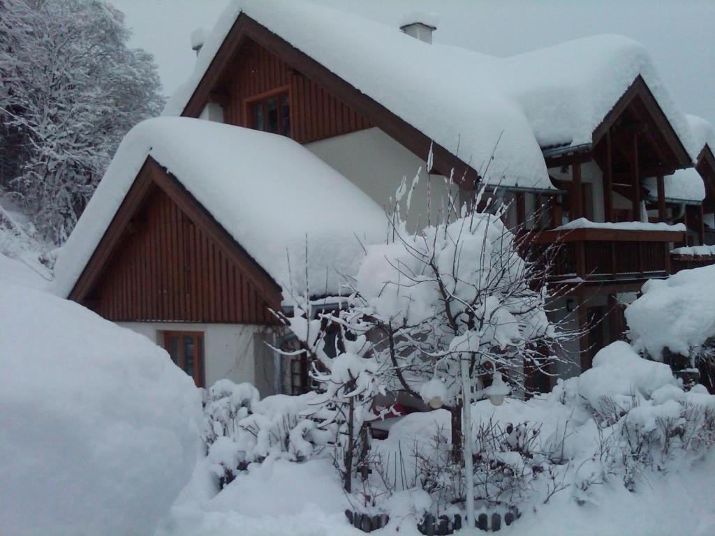 Ferienhaus Waldsicht Flachau Exterior foto